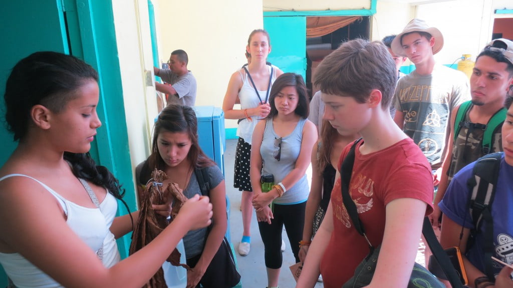 Nicaraguan tour guide teaching students about tobacco leaves and how they are treated before making in products