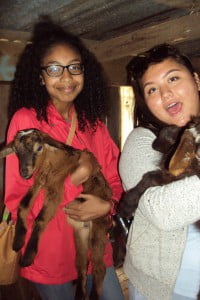 Angelic and Leeza holding cute baby goats!