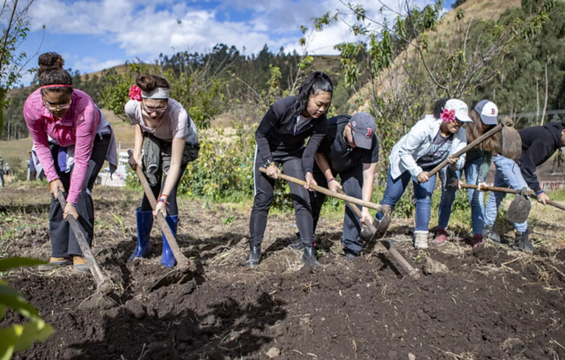Northampton Students Digging