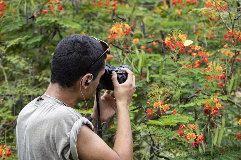 Male student photographing butterflies