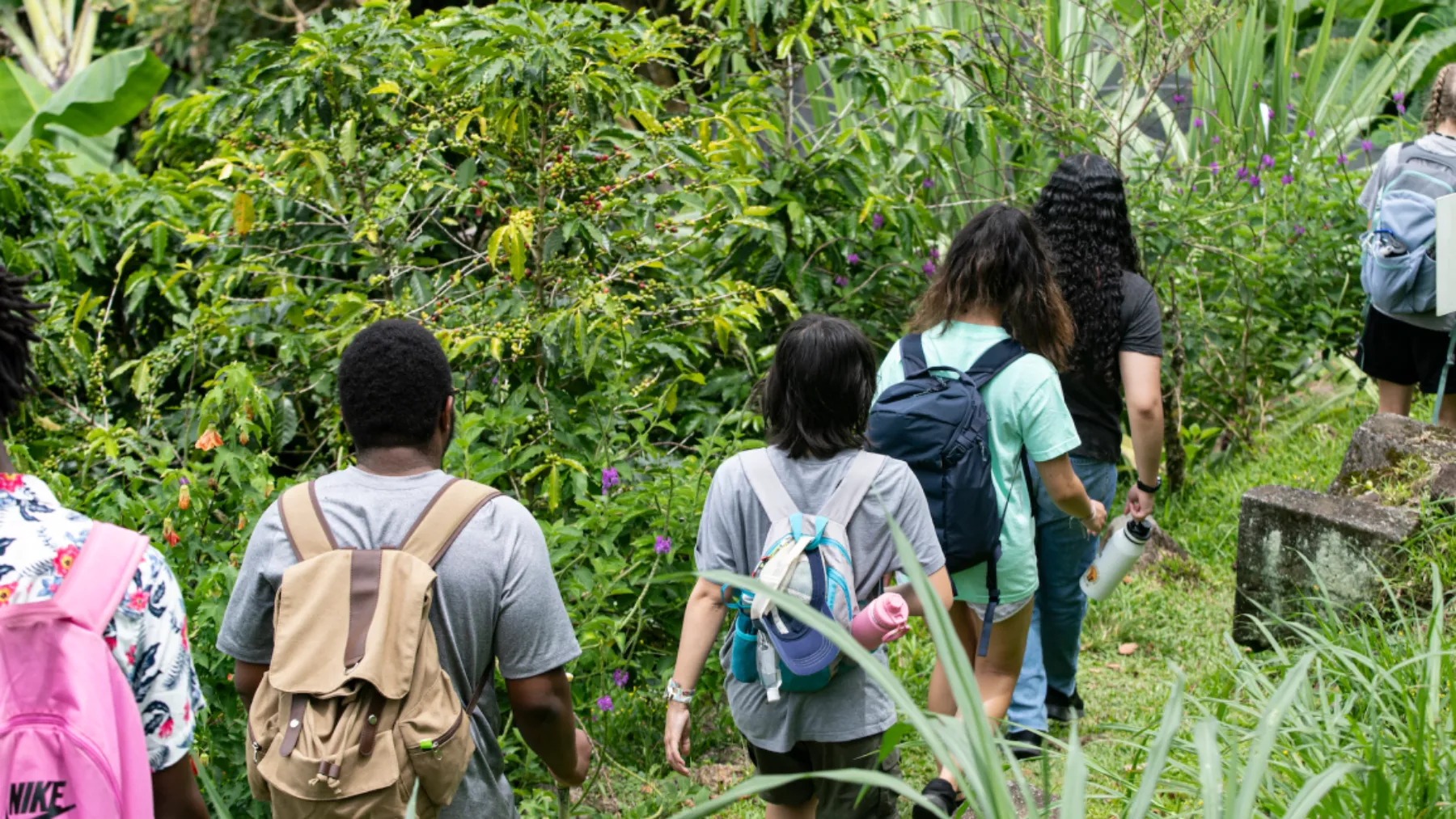 Students walking through forest in line